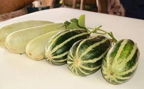 网爆网红吃瓜图片大全