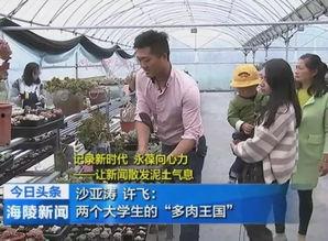 吃瓜最新事件泰州新闻网,揭秘近期热点事件，吃瓜群众聚焦焦点