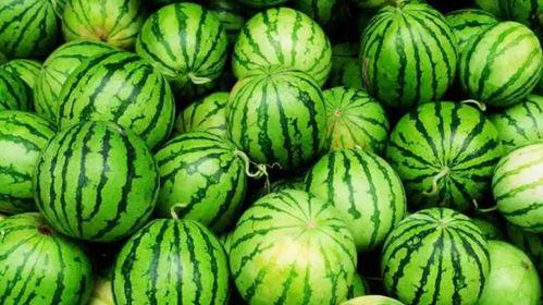 网爆网今日吃瓜,娱乐圈最新爆料，揭秘明星幕后故事